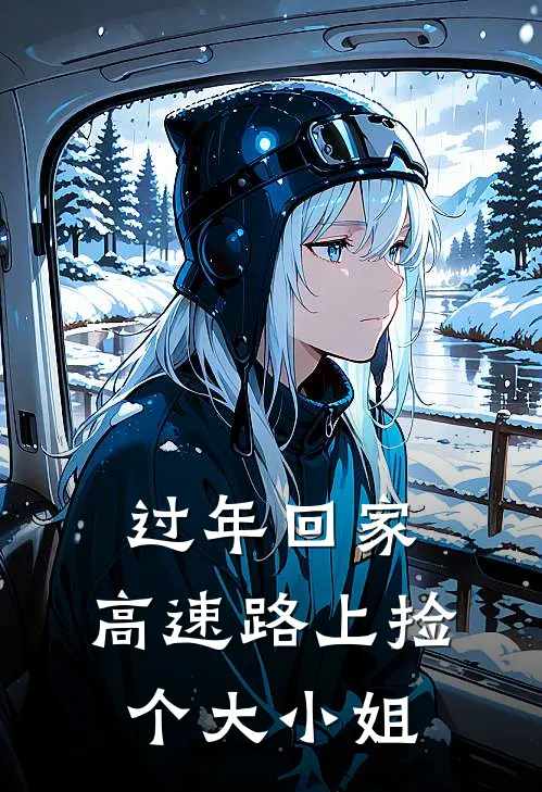 过年回家，高速路上捡个大小姐